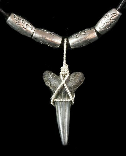 Fossil Sand Tiger Shark Tooth Necklace #47595